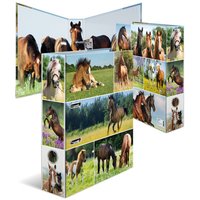HERMA Motivordner, Tierwelten, DIN A4, Pferdewiese