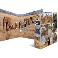 HERMA Motivordner, Animals, DIN A4, Afrika Tiere – Bild 2