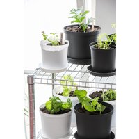 Orthex SC-63500147 Blumentopf grau – Bild 2