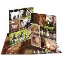 HERMA Eckspannermappe, Bauernhoftiere, Karton, DIN A4 – Bild 2
