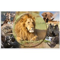 HERMA Schreibunterlage, Afrika Tiere, (B)550 x (H)350 mm