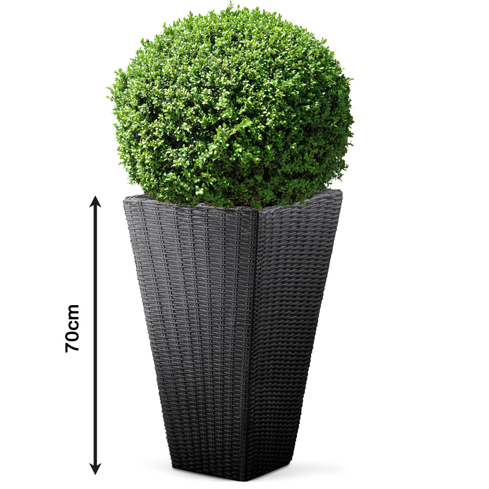 Deuba Blumentopf Anthrazit Polyrattan-Optik 70x40x40cm – Bild 3