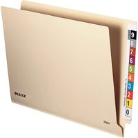 LEITZ Einstellmappe OrgacolorPlus, A4, mit Tab, chamois – Bild 2