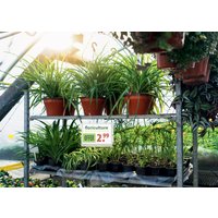 DURABLE Plakattasche wasserdicht, DIN A5, inkl. Kabelbinder