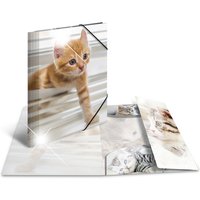 HERMA Eckspannermappe, Katzen, PP Glossy, DIN A4