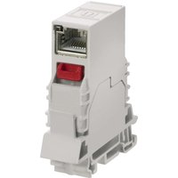 Telegärtner STX Tragschienen Verbinder inkl. RJ45 Modul B – Bild 2