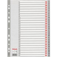 Esselte Kunststoff-Register, Zahlen, A4, 1-31, grau