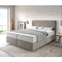DELIFE Dream-Great Boxspringbett 160x200 – Bild 2