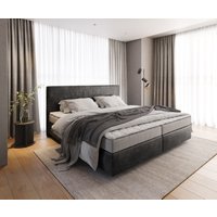 DELIFE Dream-Well Boxspringbett 200x200