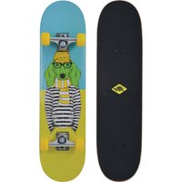 SCHILDKRÖT Skateboard Kicker 31, Green Dog