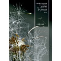 CACTUS Trauerkarte, Pusteblume Spuren