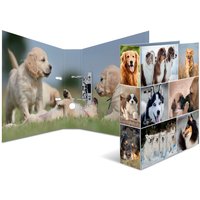 HERMA Motivordner, Animals, DIN A4, Hunde