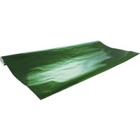 Clairefontaine Alu-Bastelfolie, (B)700 mm x (L)2 m, grün