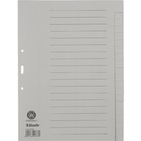 Esselte Tauenpapier-Register, blanko, A4, 20-teilig, grau