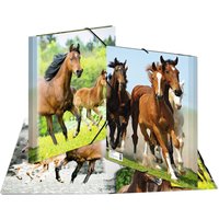 HERMA Eckspannermappe, Pferde, aus PP, DIN A4