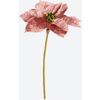 NKD 5229014 Weihnachtsstern Dekoration – Bild 2