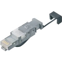 Telegärtner STX RJ45 Stecker, Kat.6, für AWG 22 - 26 Twisted – Bild 2