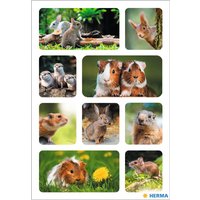 HERMA Sticker DECOR, Nagetiere