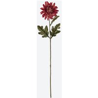 NKD 5227088 Chrysantheme Dekoration – Bild 2