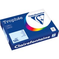 Clairefontaine Multifunktionspapier Trophée, A4, maigrün