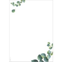 sigel Design-Papier, Eucalyptus, DIN A4, 90 g/qm – Bild 2