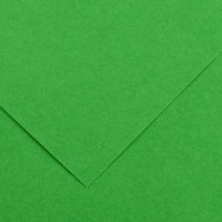 CANSON Tonpapier Vivaldi, 500 x 650 mm, hellgrün