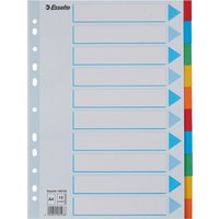 Esselte Karton-Register, blanko, A4, 10-teilig, mehrfarbig