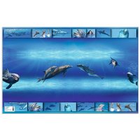 HERMA Schreibunterlage, Delfin, (B)550 x (H)350 mm