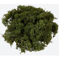 Island-Moos-Dekoration, ca. 50 g