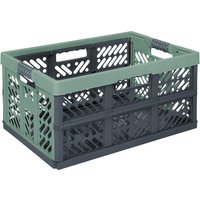 keeeper Profi-Klappbox, ben, 45 Liter, nordic-green