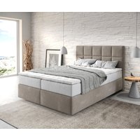 DELIFE Dream-Fine Boxspringbett 140x200