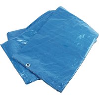 BRÜDER MANNESMANN Abdeckplane, 3,5 x 4,8 m, blau