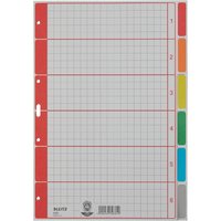 LEITZ Karton-Register extrastark, blanko, A4, 6-teilig, grau – Bild 2