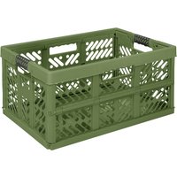 keeeper Profi-Klappbox, ben, 45 Liter, olive