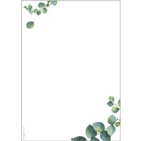 sigel Design-Papier, Eucalyptus, DIN A5, 90 g/qm – Bild 2