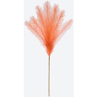 NKD 5224731 Kunstpflanze Pampasgras – Bild 2