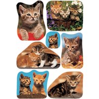 HERMA Sticker DECOR, Katzenfotos