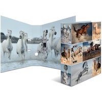 HERMA Motivordner, Animals, DIN A4, Pferde – Bild 2