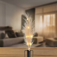 NKD 5225690 LED-Pampasgras 70 cm – Bild 2