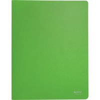 LEITZ Sichtbuch Recycle, A4, PP, mit 20 Hüllen, grün