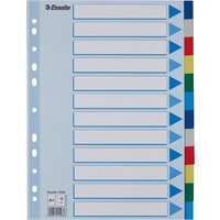Esselte Kunststoff-Register, blanko, A4, PP, 12-teilig