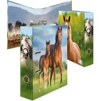 HERMA Motivordner Lieblingstiere, Pferd, DIN A4