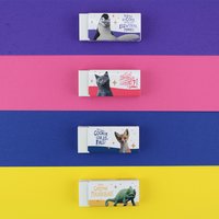 Tombow Kunststoff-Radierer MONO, Katze, 20er Display