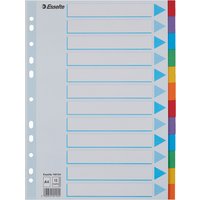 Esselte Karton-Register, blanko, A4, 12-teilig, mehrfarbig – Bild 2
