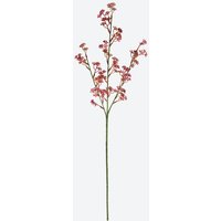 Kunstblume Fetthenne, ca. 62 cm hoch