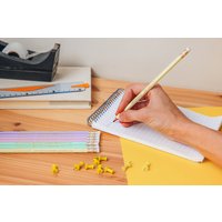 BIC Bleistift Evolution PASTEL, Härtegrad: HB, sortiert – Bild 2